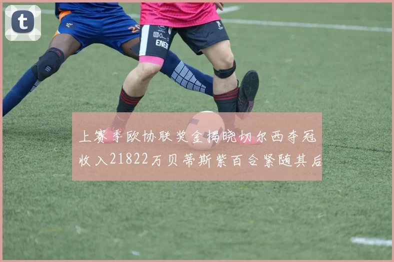 上赛季欧协联奖金揭晓切尔西夺冠收入21822万贝蒂斯紫百合紧随其后