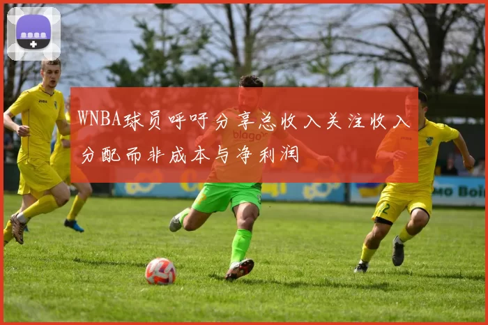 WNBA球员呼吁分享总收入关注收入分配而非成本与净利润